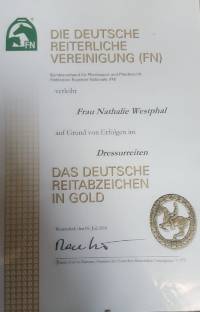 Redefin2018 Natalie Goldenes Urkunde